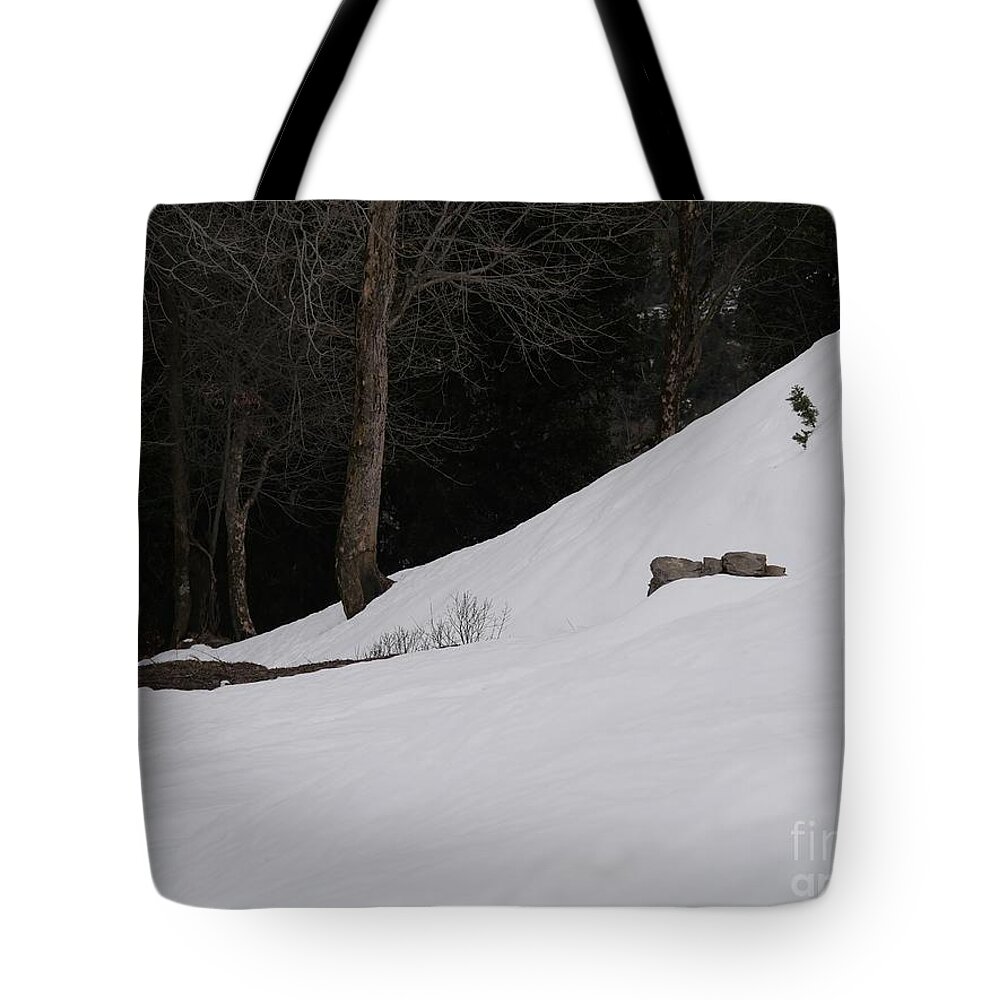 Background Tote Bag featuring the photograph White Carpet by On da Raks