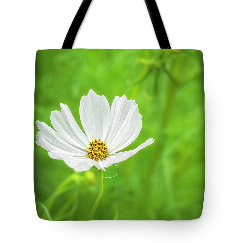 Serene Tote Bag featuring the photograph White Cosmos 1 by Marianne Campolongo