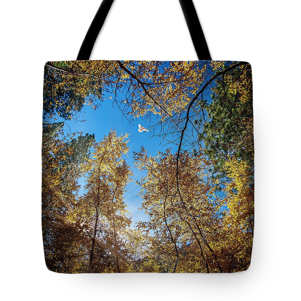 Landscape Tote Bag featuring the photograph White Dove over Big Pines by Romeo Victor
