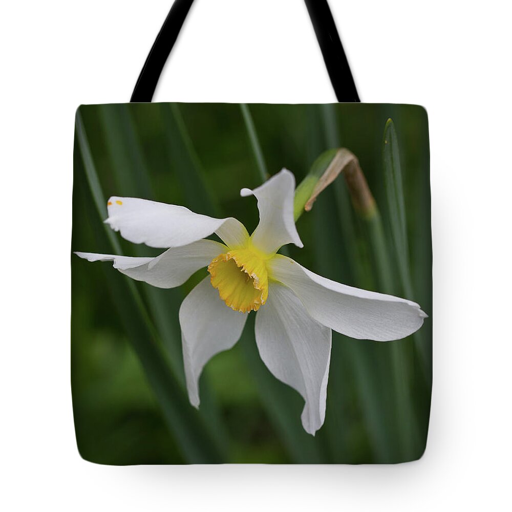 Flower Tote Bag featuring the photograph White Flower by David Beechum