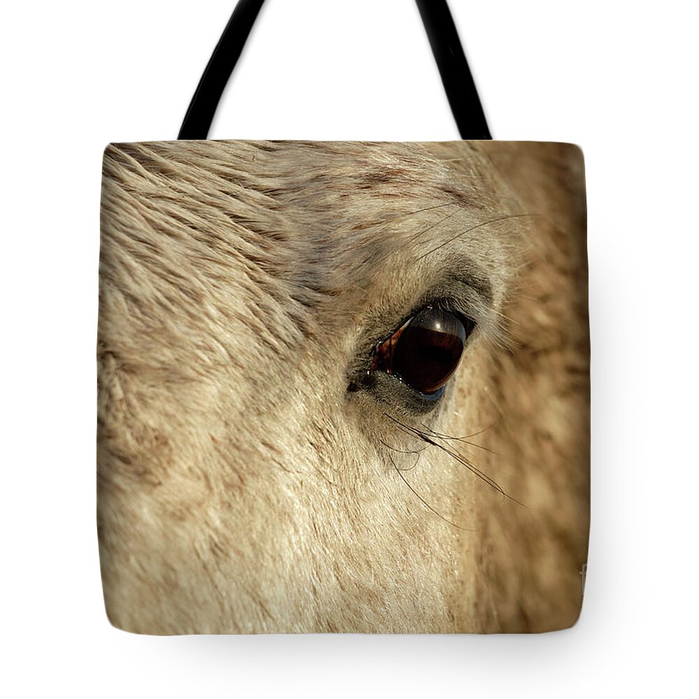 Horse Tote Bag featuring the photograph White horse eye by Delphimages Photo Creations