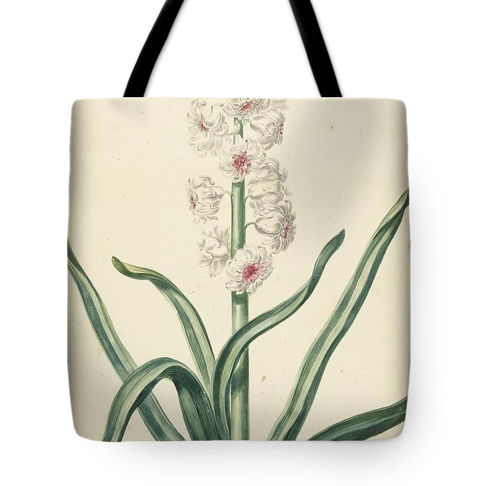 Vintage Tote Bag featuring the painting White hyacinth, Hendrik Budde, 1720 by MotionAge Designs
