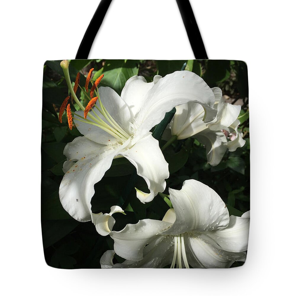 Lily Tote Bag featuring the photograph White Lily by Albert Massimi