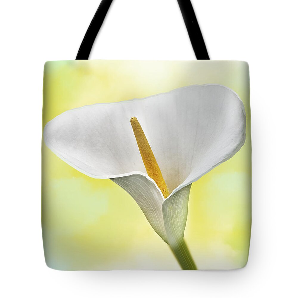 Spring Tote Bag featuring the mixed media White Lily by Moira Law