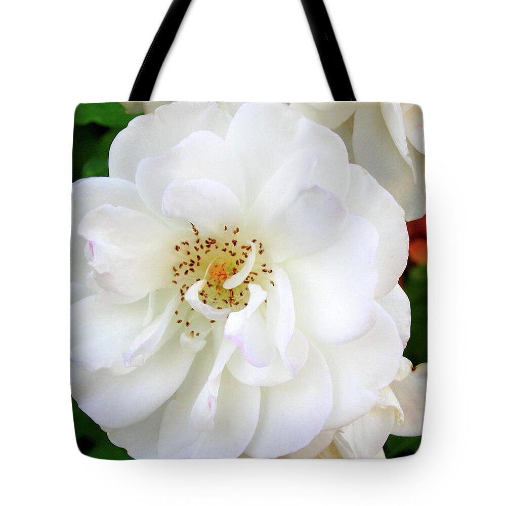 Flowers Tote Bag featuring the photograph White Magic by Sue Morris