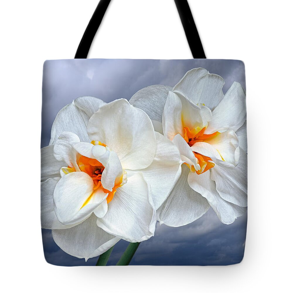 Daffodil Tote Bag featuring the photograph White Narcissus in Spring Storm by Gill Billington