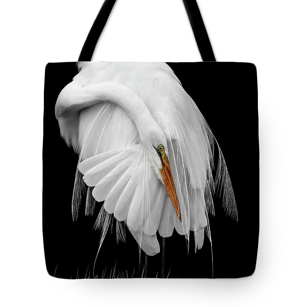 White On Black Tote Bag featuring the photograph White on Black by Wes and Dotty Weber