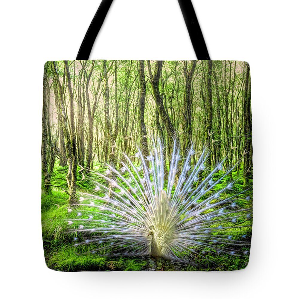 Mountains Tote Bag featuring the photograph White Peacock in the Beauty of the Forest by Debra and Dave Vanderlaan