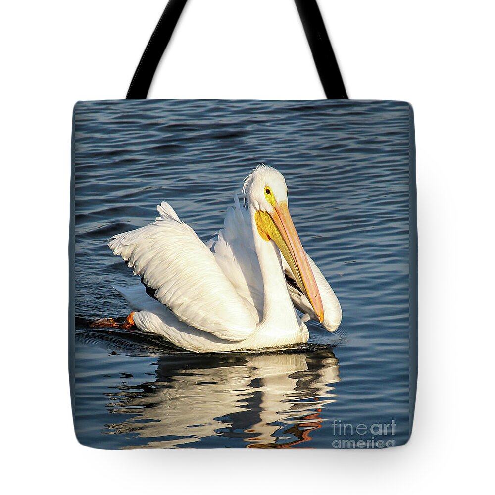 American White Pelican Tote Bag featuring the photograph White Pelican Reflection by Joanne Carey