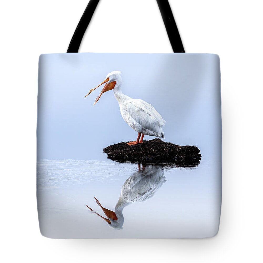 White Pelican Tote Bag featuring the photograph White Pelican Yawning by C Renee Martin