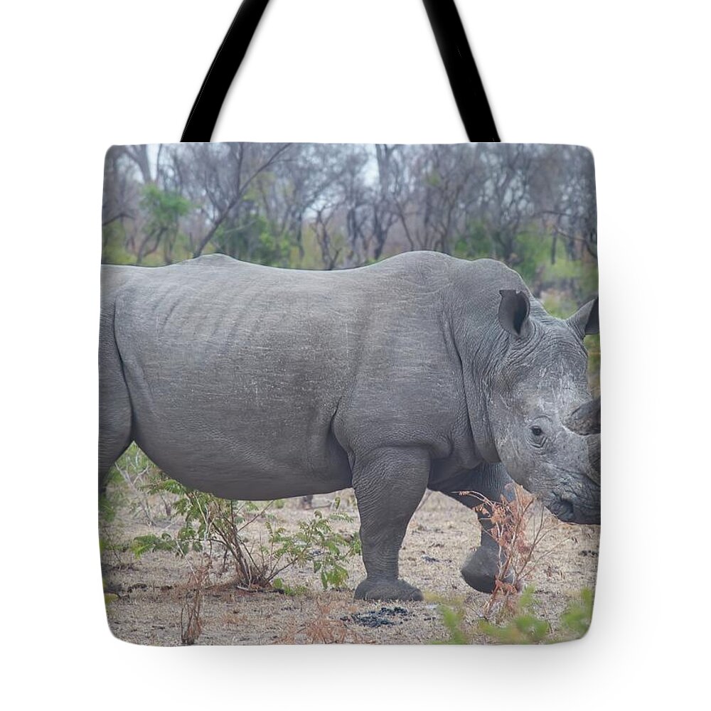 White Rhino Tote Bag featuring the photograph White Rhino South Africa by Heidi Fickinger