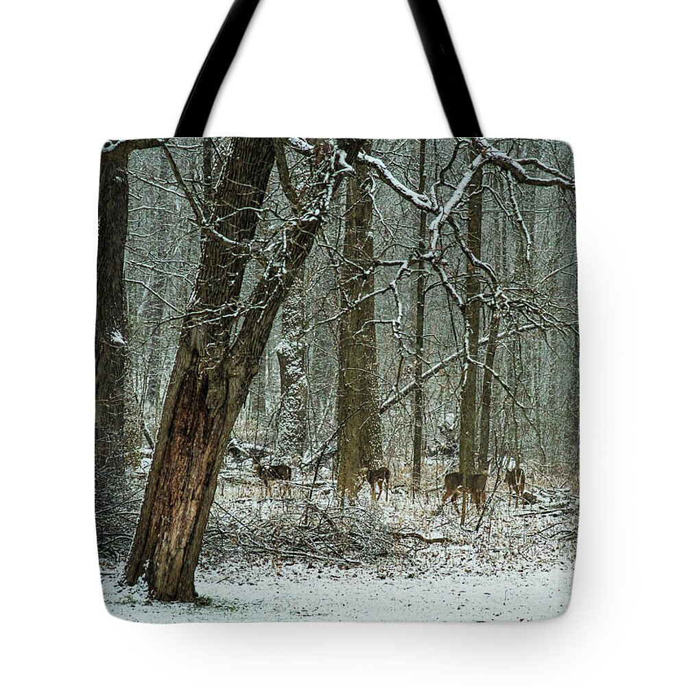 White-tailed Deer Tote Bag featuring the photograph White-tailed Deer on a Snowy Day in the Forest by Sandra Rust