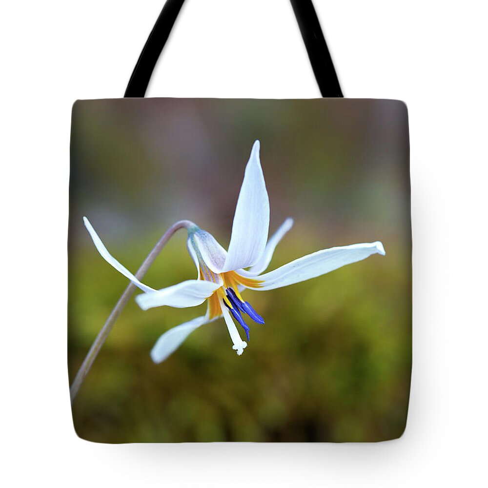  Tote Bag featuring the photograph White Trout by William Rainey