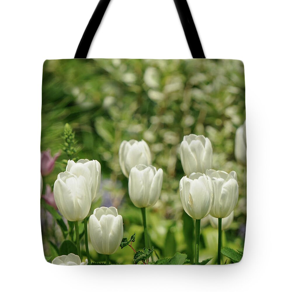 Tulips Tote Bag featuring the photograph A Group of White Tulips in New York City by Cordia Murphy