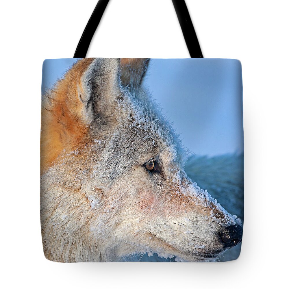 Wolf Tote Bag featuring the photograph White Wolf Profile- 540F by Mark Miller