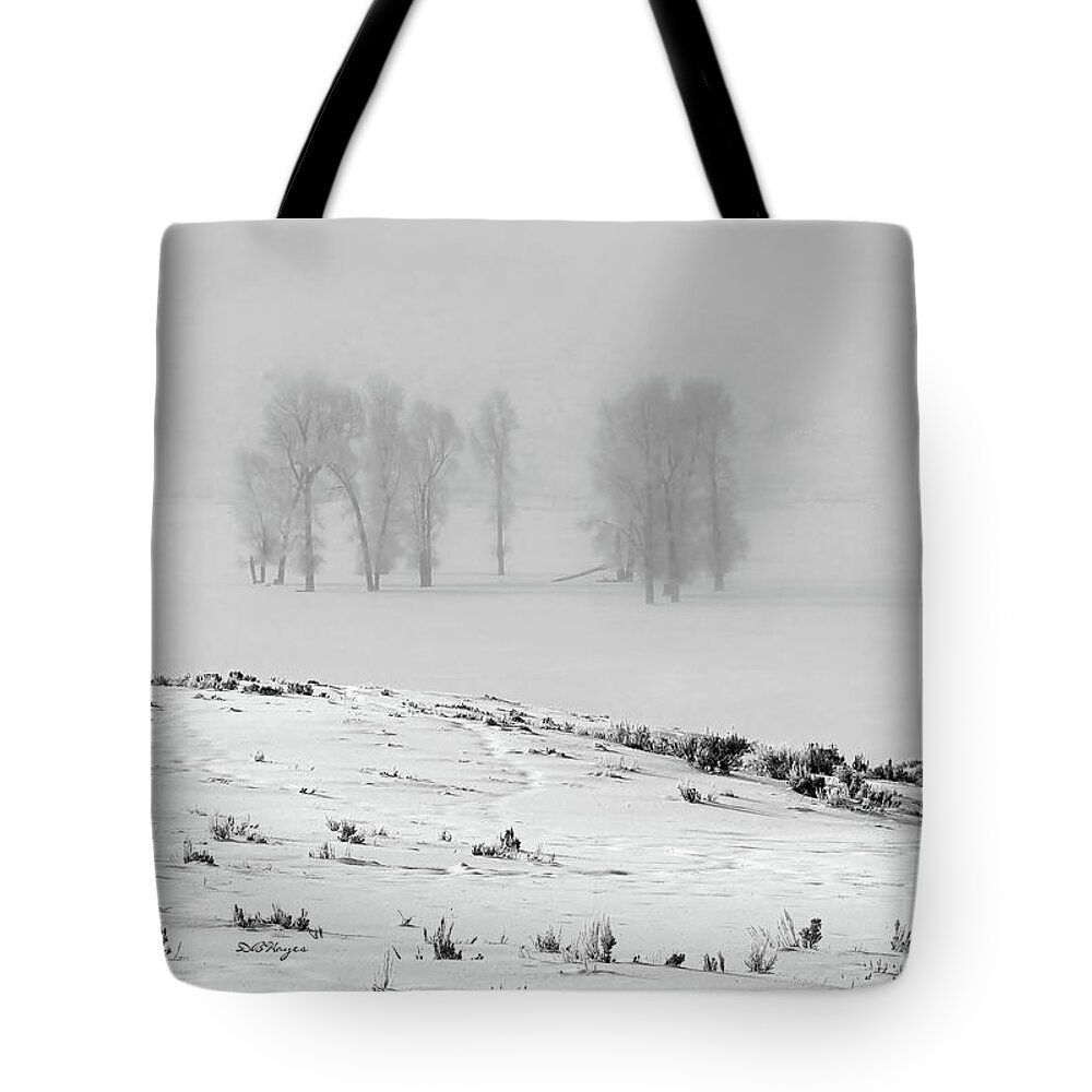 Nature Tote Bag featuring the photograph Whiteout by DB Hayes