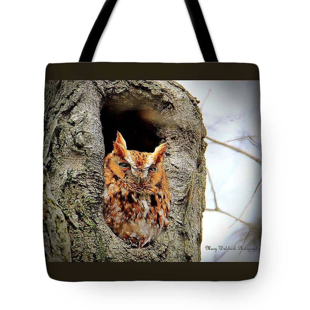 Eastern Screech Owl Red Morph Tote Bag featuring the photograph Whooo are You by Mary Walchuck