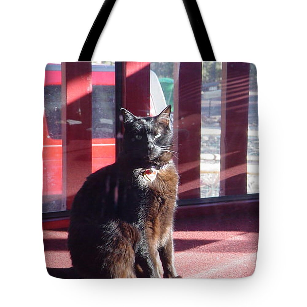 Cat Tote Bag featuring the photograph Wicci the Invincible by Leslie Byrne