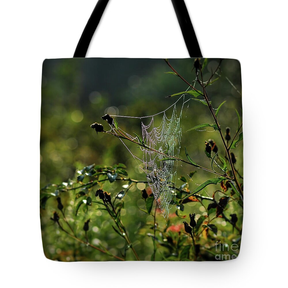 Web Tote Bag featuring the photograph Wild About Webs by Kerri Farley