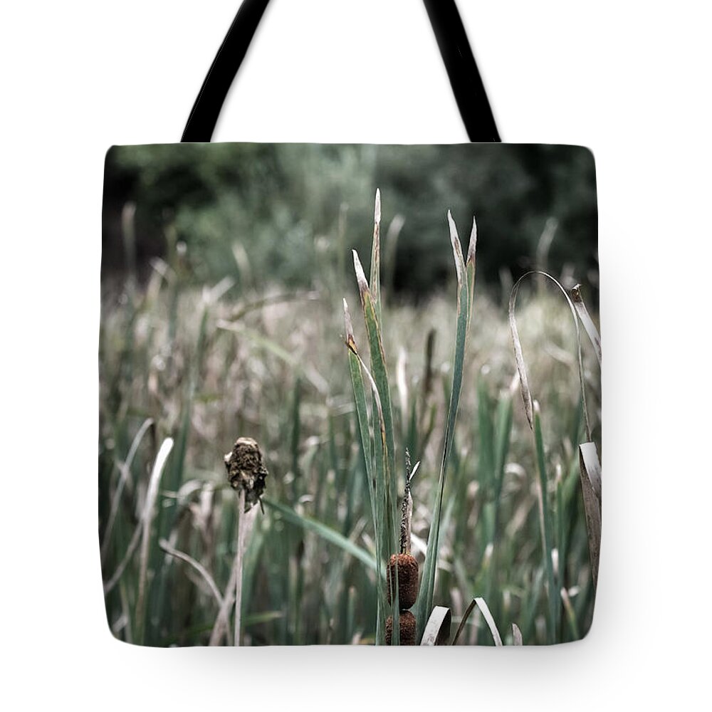 Photo Tote Bag featuring the photograph Wild Corn Dogs by Evan Foster