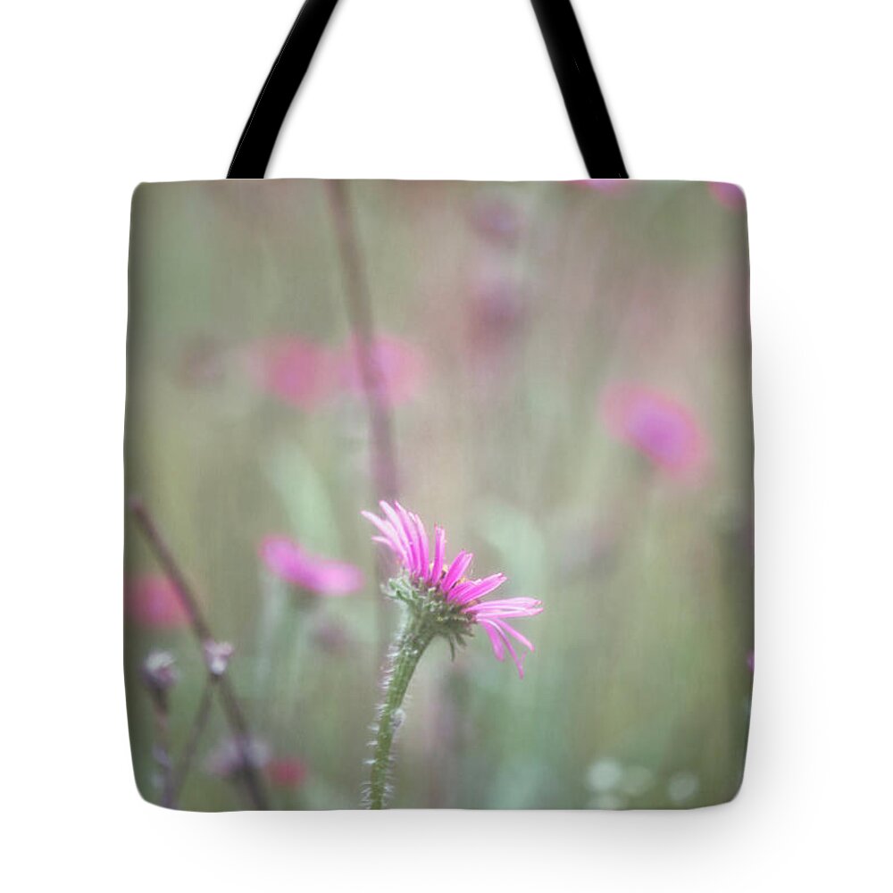 Echinacea Tennesseensis Tote Bag featuring the photograph Wild Echinacea Tennesseensis Field by Laura Vilandre