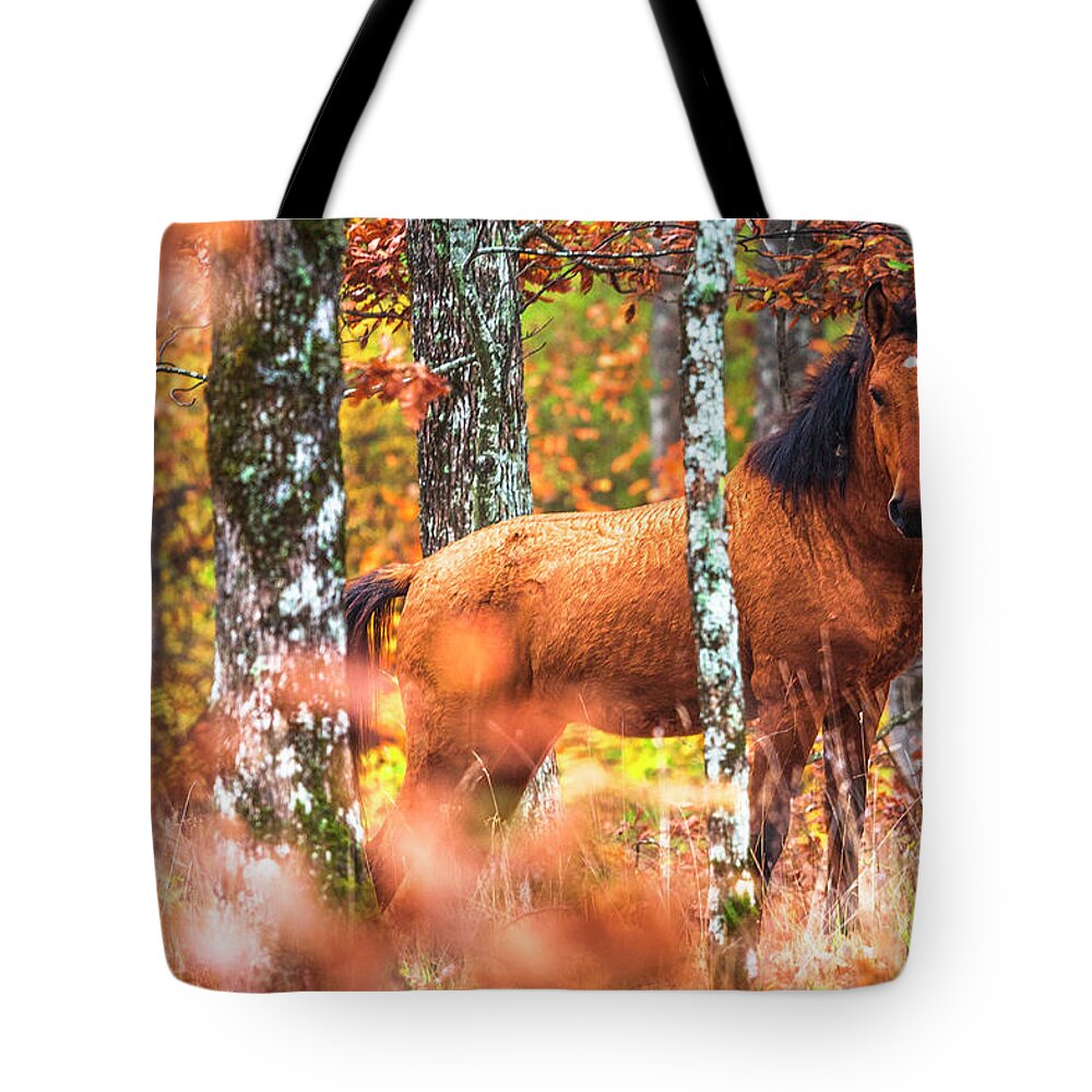 Animals Tote Bag featuring the photograph Wild by Evgeni Dinev