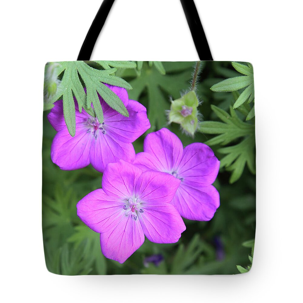 Flowers Tote Bag featuring the photograph Wild Geraniums by Bob Falcone