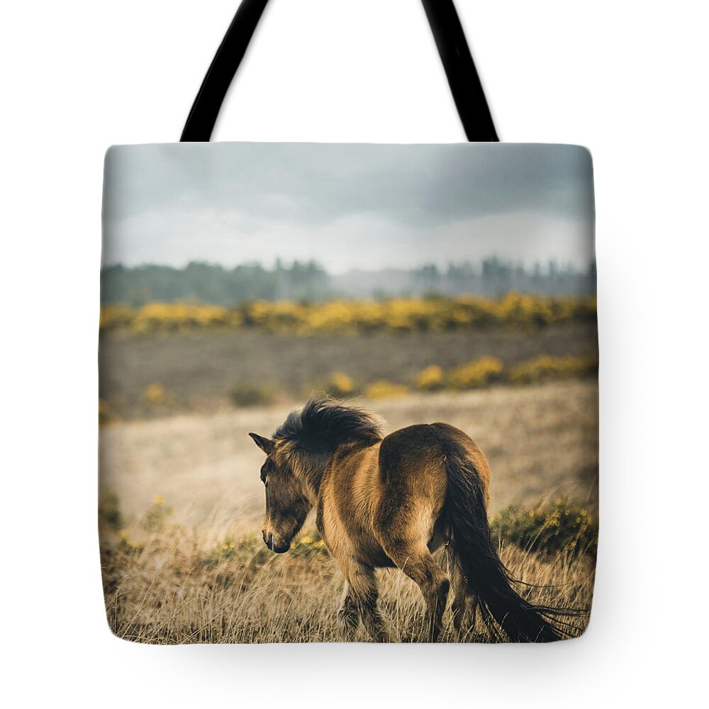 Photographs Tote Bag featuring the photograph Wild - Horse Art by Lisa Saint