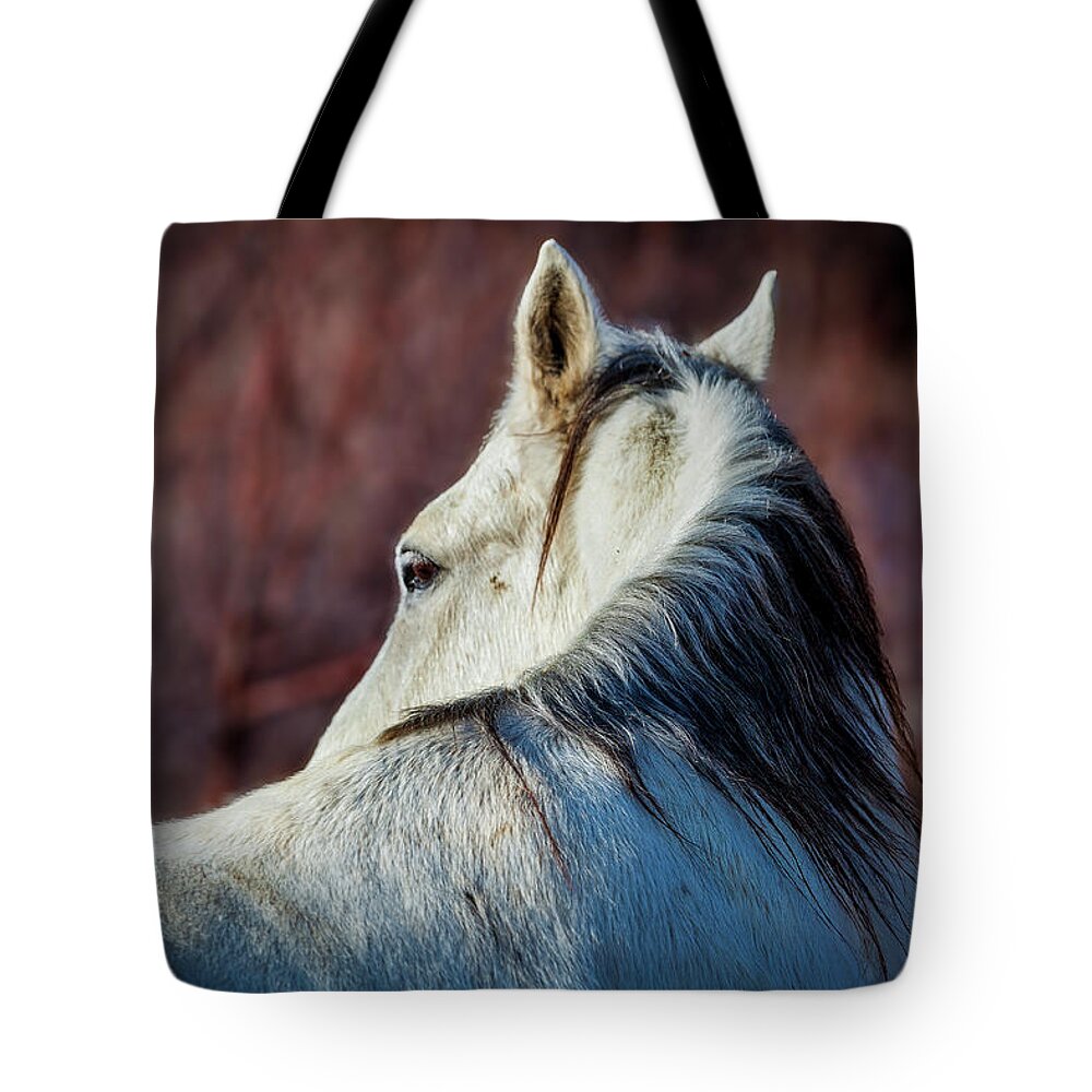 Wild Tote Bag featuring the photograph Wild Horse No. 3 by Craig J Satterlee