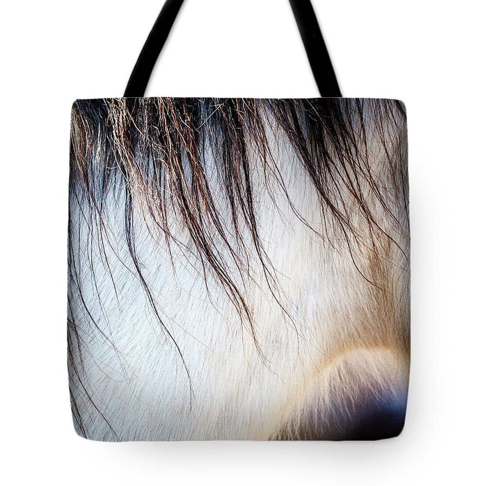 I Love The Beauty Of The Outdoors And Its Natural Wildlife. This Wild Horse Was Shot In The Pryor Mountain Wild Horse Range. Tote Bag featuring the photograph Wild Horse No. 5 by Craig J Satterlee