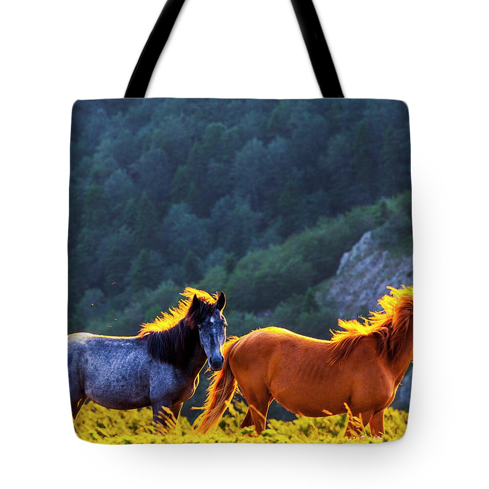 Balkan Mountains Tote Bag featuring the photograph Wild Horses by Evgeni Dinev
