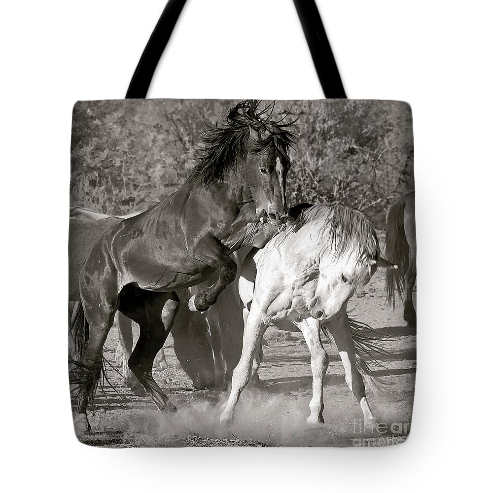 Wild Tote Bag featuring the photograph WIld Horses Sparring by Martin Konopacki