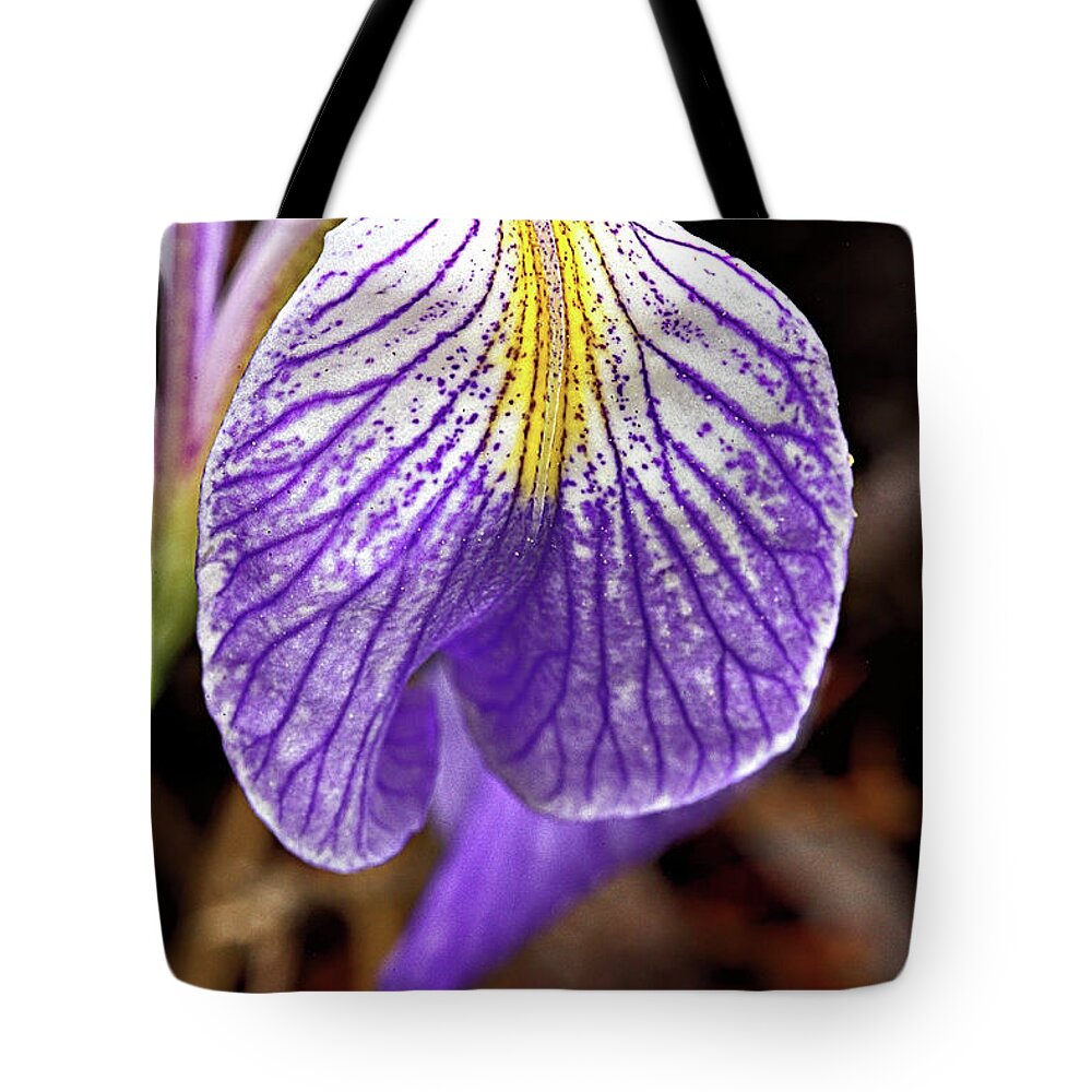 Flower Tote Bag featuring the photograph Wild Iris Petal by Bob Falcone