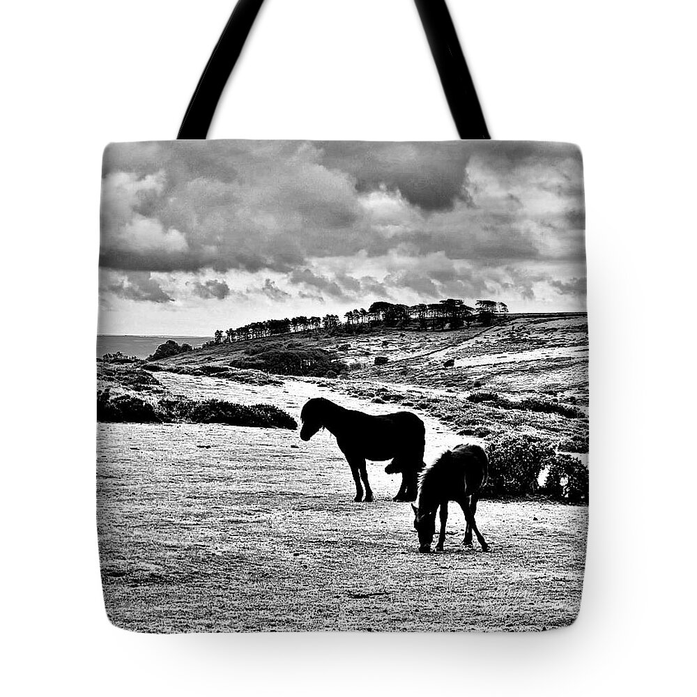 Horses Tote Bag featuring the photograph Wild Ponies of Dartmoor by John Anderson