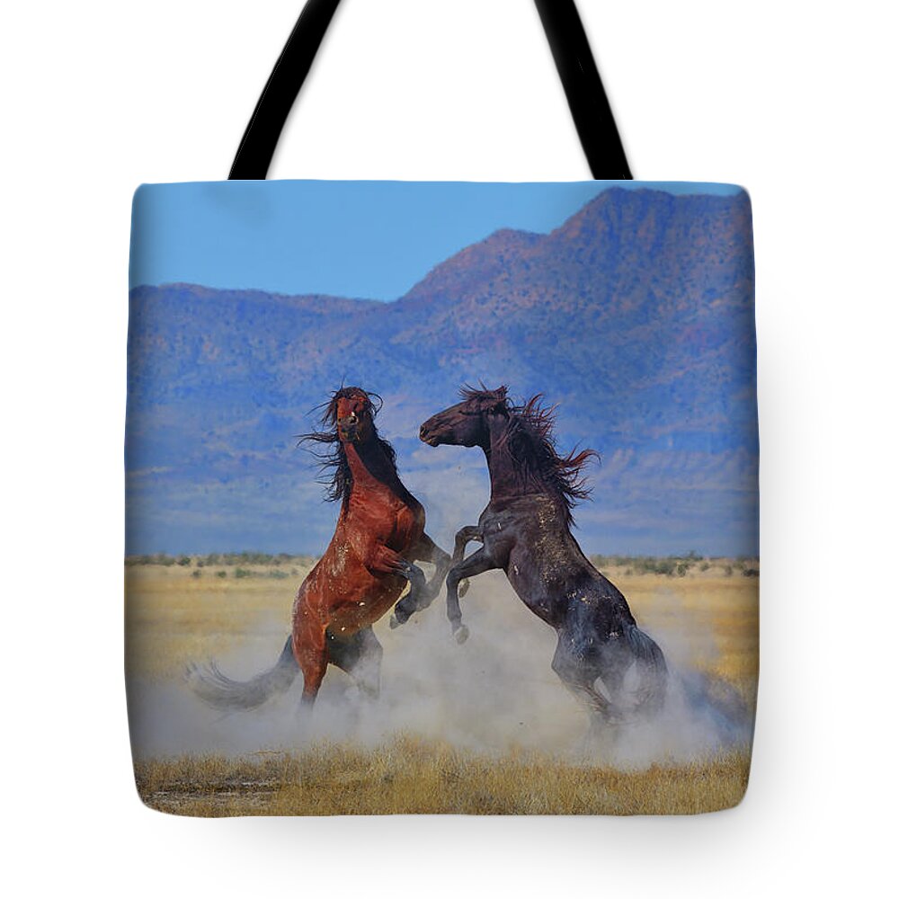 Wild Horses Tote Bag featuring the photograph Wild Stallion Dust Up by Greg Norrell