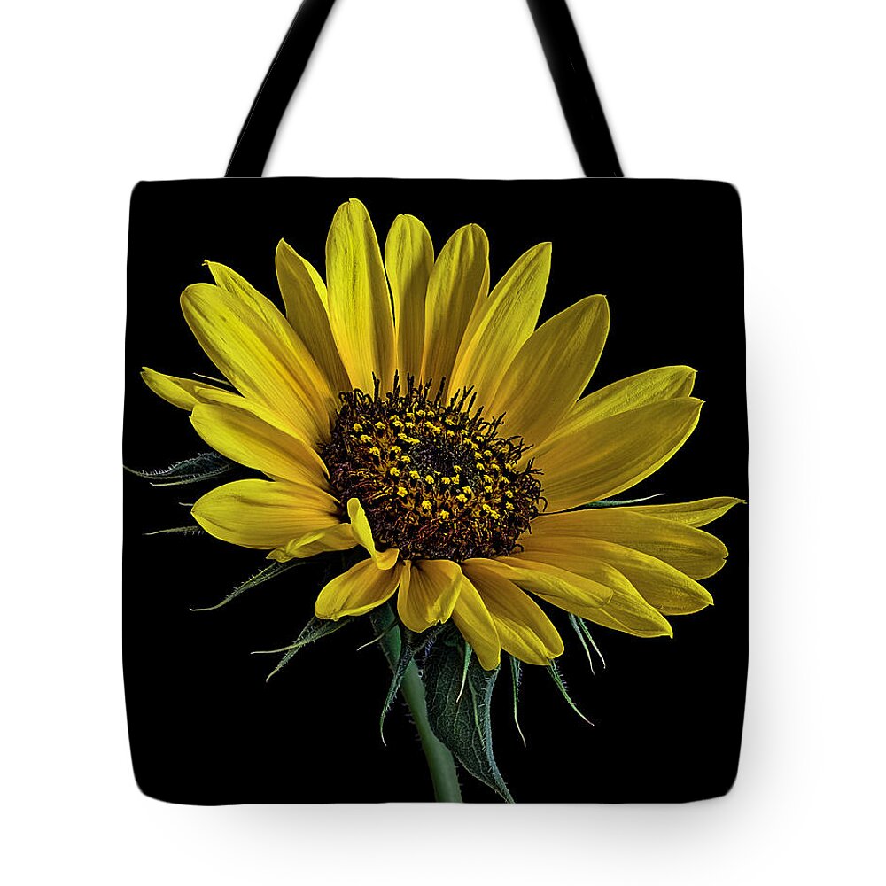 Wild Sunflower Tote Bag featuring the photograph Wild Sunflower by Endre Balogh