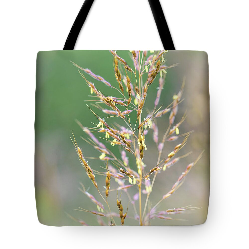 Nature Tote Bag featuring the photograph Wild Wheat by Amelia Pearn