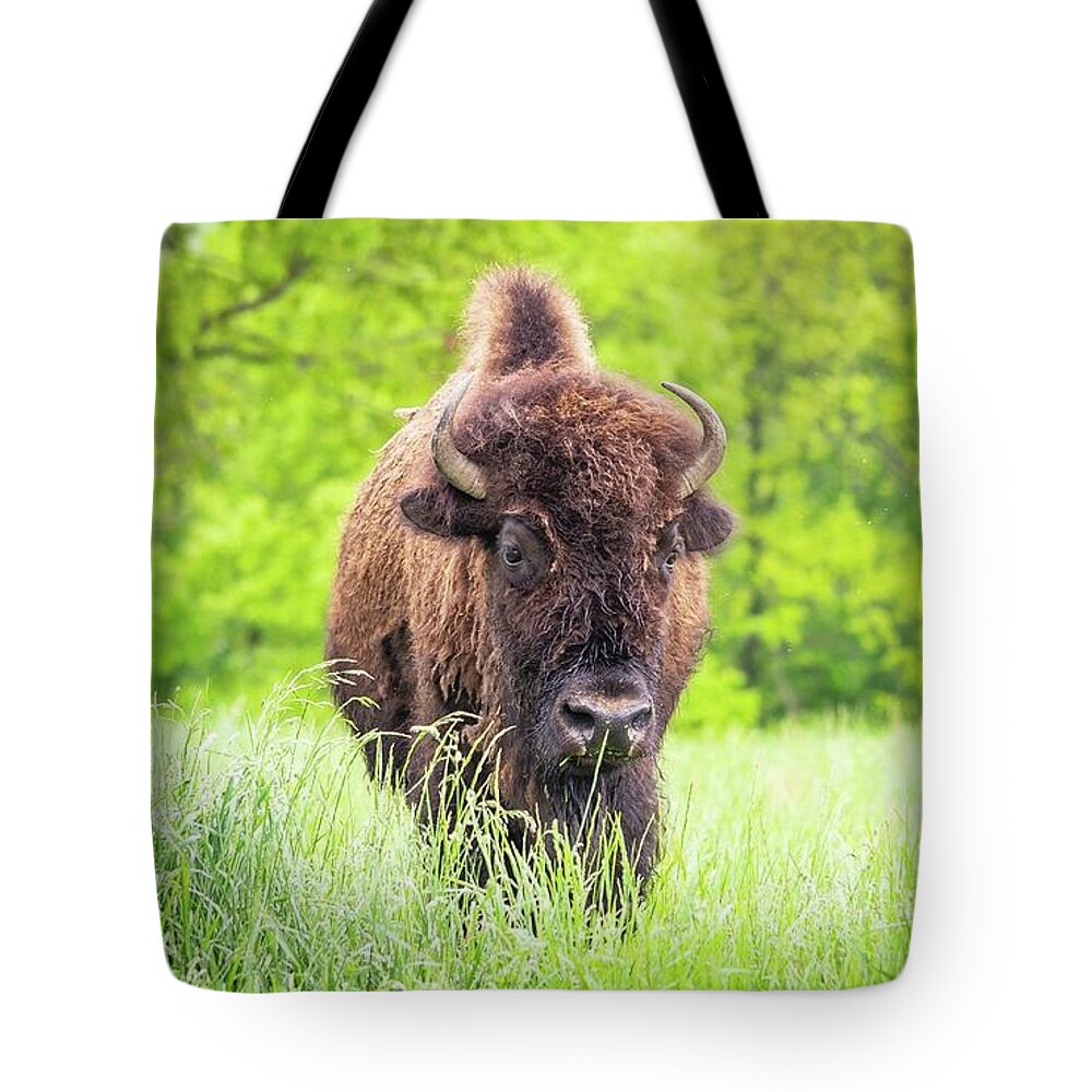 Buffalo Tote Bag featuring the photograph Wilderness Rider by David Dedman