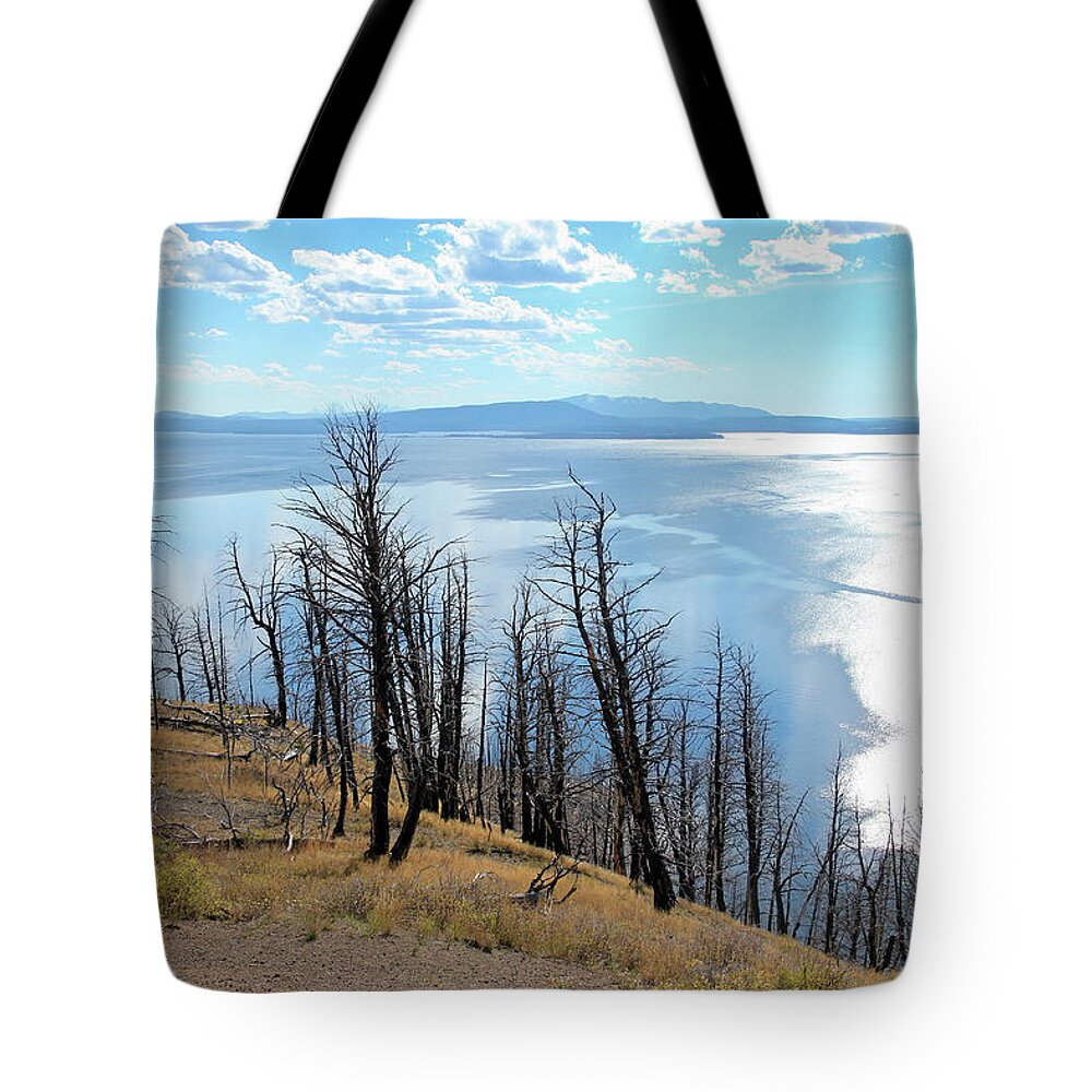 Lake Yellowstone Tote Bag featuring the photograph Wildfire Devastation by Robert Carter