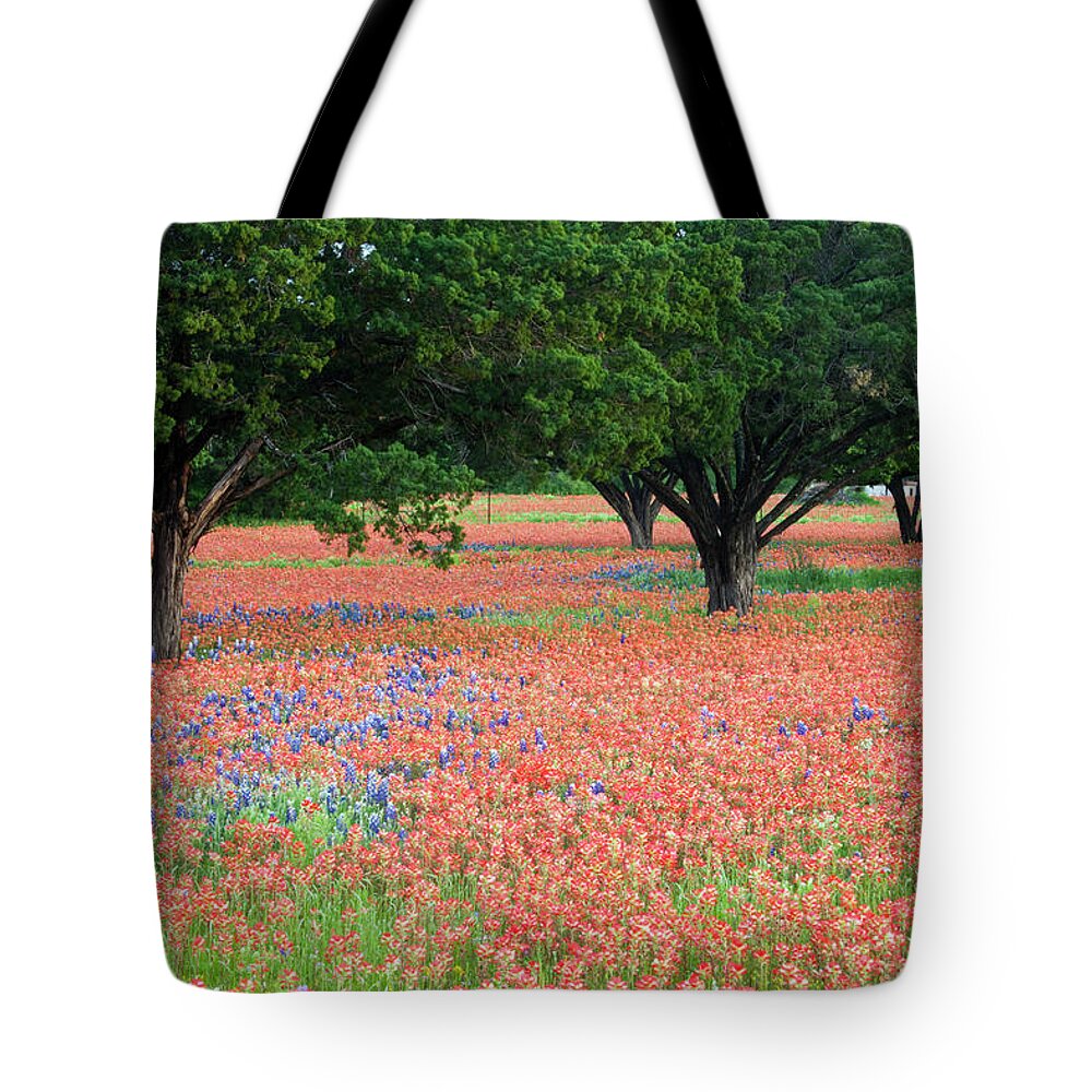 Abundance Tote Bag featuring the photograph Wildflower Field by Eggers Photography