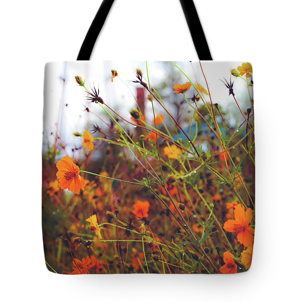 Mountain Tote Bag featuring the photograph Wildflower Medley by Go and Flow Photos