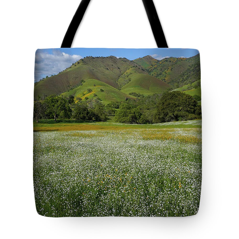 Wildflowers Tote Bag featuring the photograph Rusty Popcorn And Fiddleneck Dry Creek Canyon by Brett Harvey
