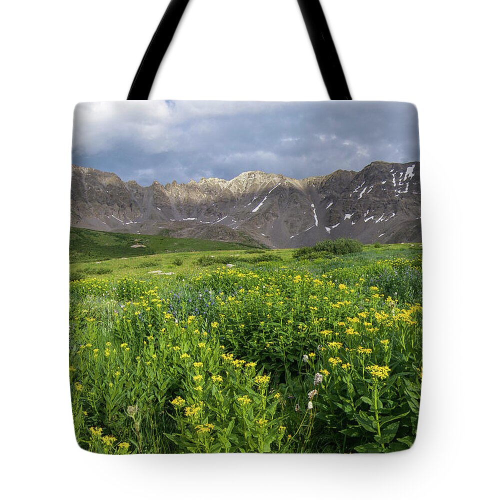 Breckenridge Tote Bag featuring the photograph Wildflowers in Mayflower Gulch by Aaron Spong