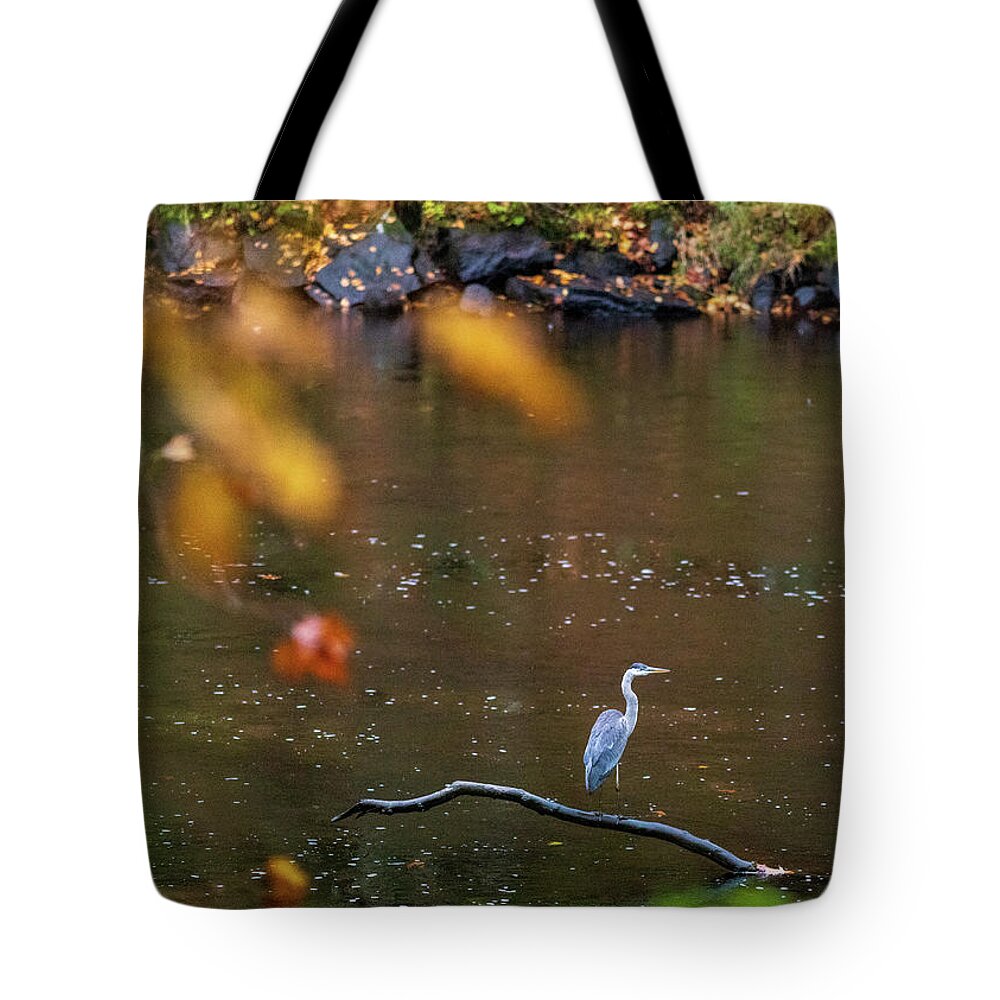 Nature Photography Tote Bag featuring the photograph Wildlife Photography - Blue Heron Birds by Amelia Pearn