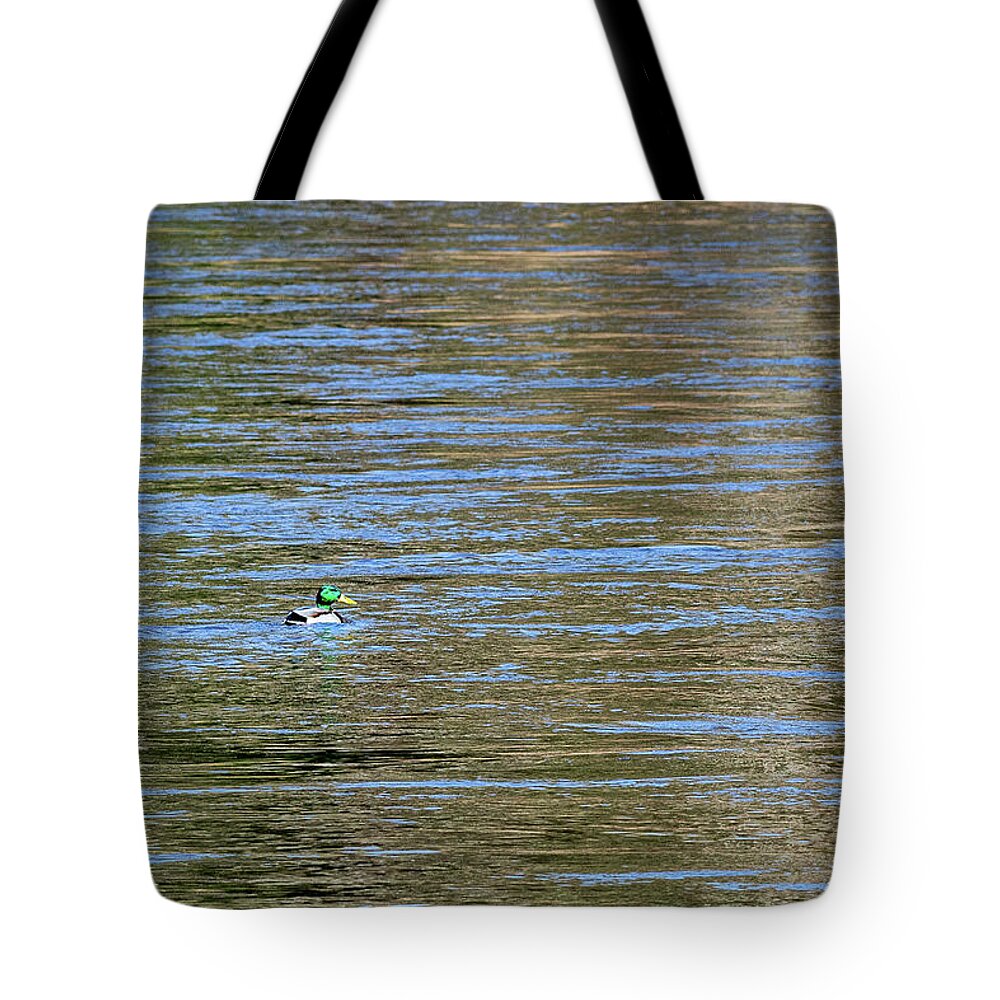 Animals Tote Bag featuring the photograph Wildlife Photography - Duck by Amelia Pearn