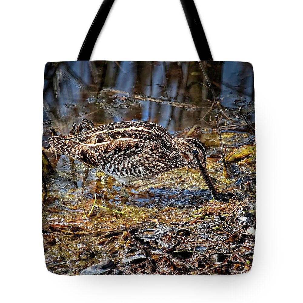 Wildlife Tote Bag featuring the photograph Wilson's Snipe in Savannah National Wildlife Refuge by Ronald Lutz