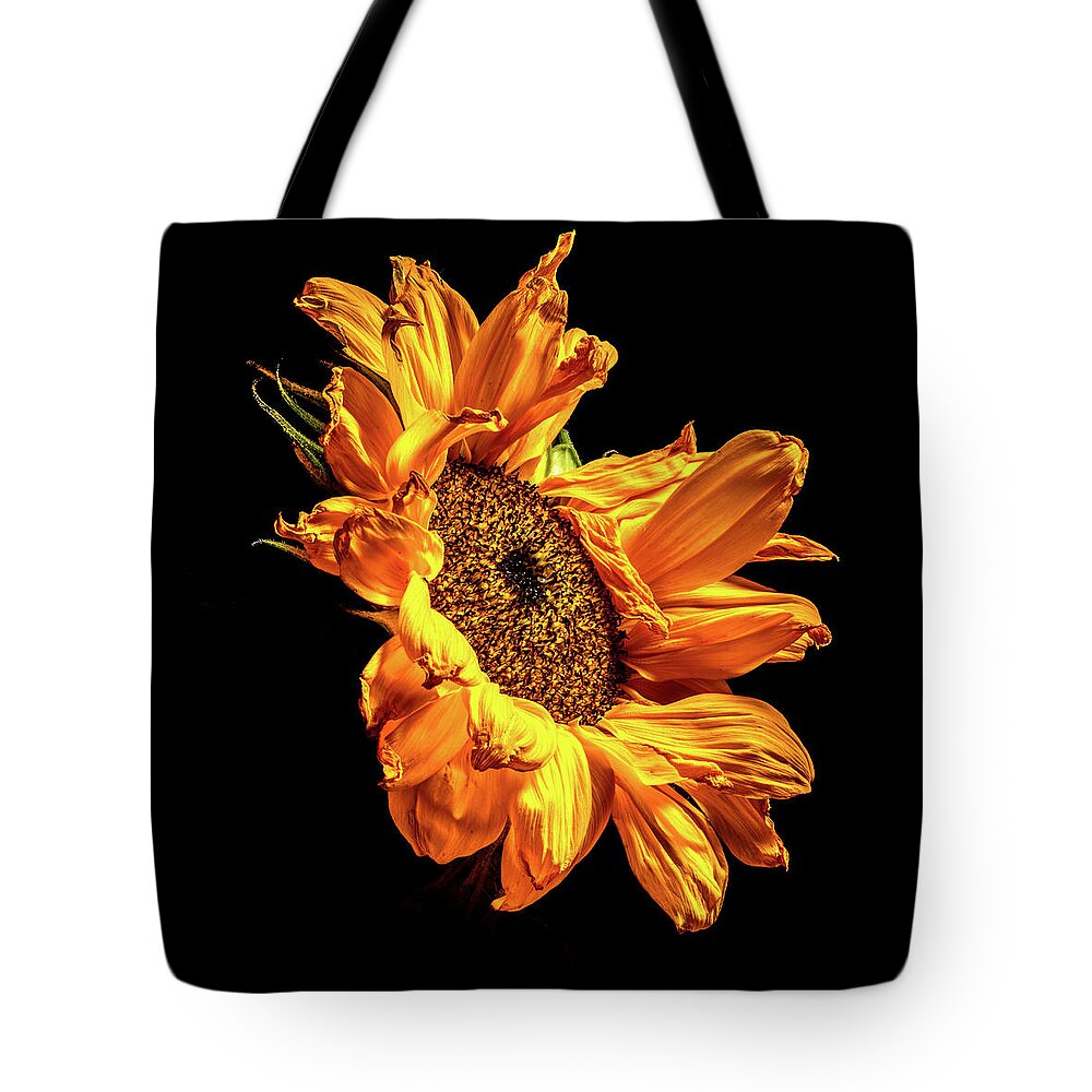 Black Background Tote Bag featuring the photograph Wilting Sunflower #2 by Kevin Suttlehan