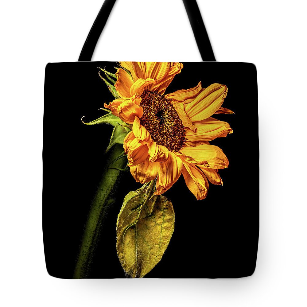 4x5 Format Tote Bag featuring the photograph Wilting Sunflower #5 by Kevin Suttlehan