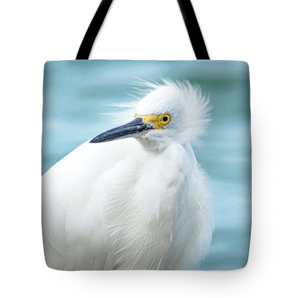 Wind-blown Snowy Tote Bag featuring the photograph Wind-Blown Snowy by Susan Molnar