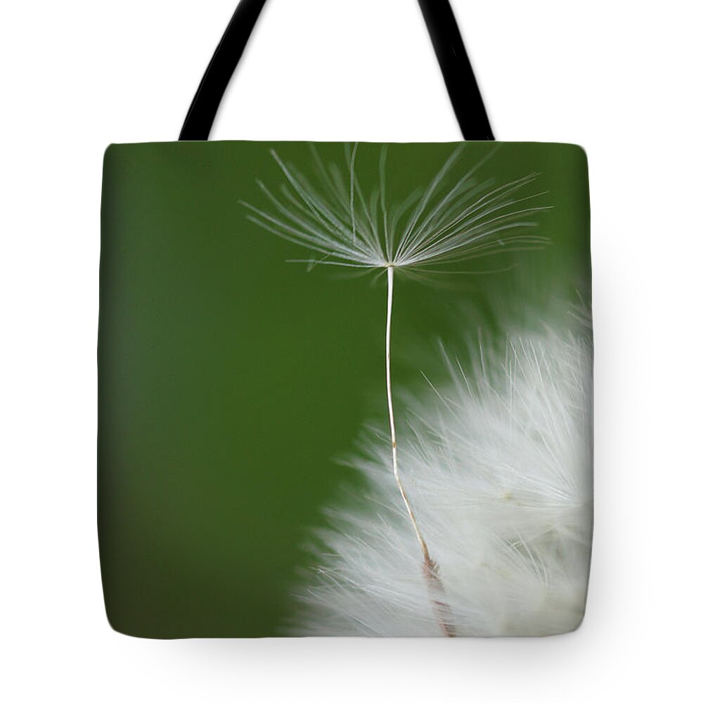 Flower Tote Bag featuring the photograph Wind by Elbegzaya Lkhagvasuren